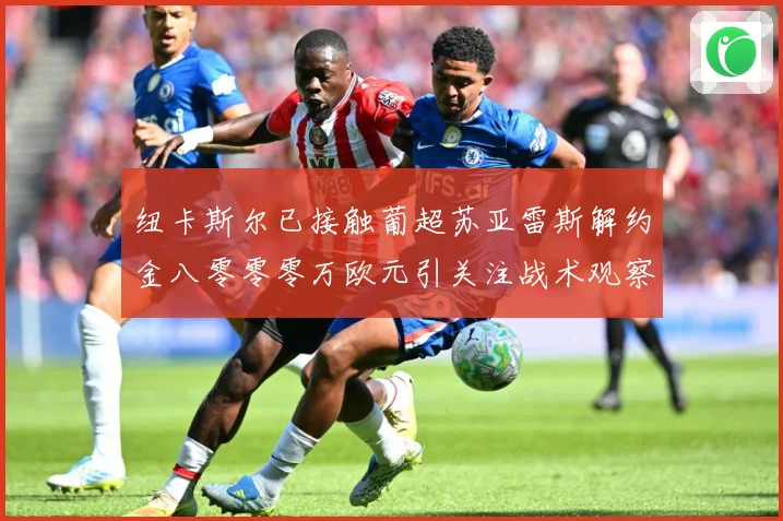 纽卡斯尔已接触葡超苏亚雷斯解约金八零零零万欧元引关注战术观察-深度解析