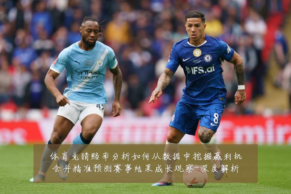 体育竞猜赔率分析如何从数据中挖掘赢利机会并精准预测赛事结果成长观察-深度解析