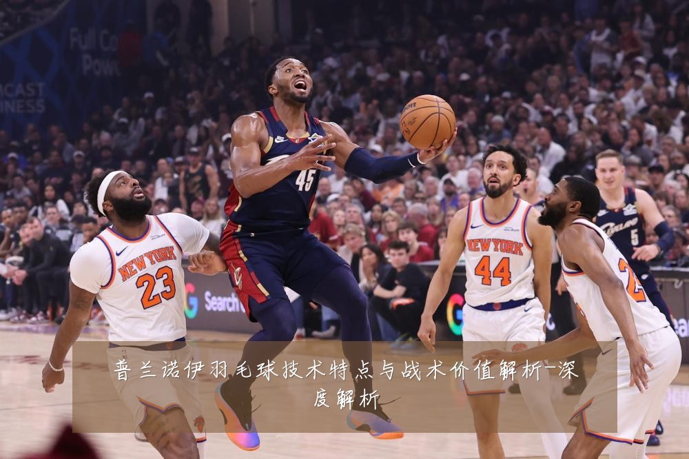 普兰诺伊羽毛球技术特点与战术价值解析-深度解析