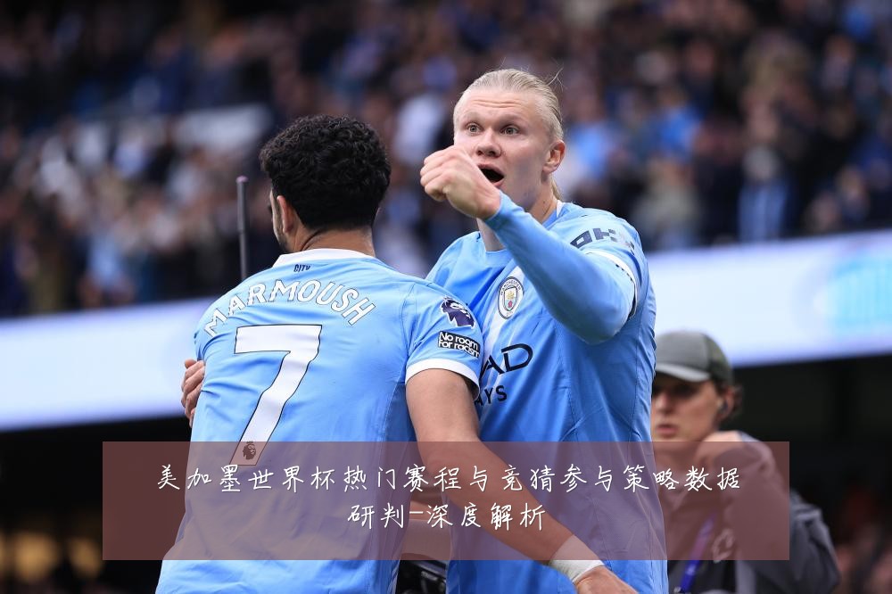 美加墨世界杯热门赛程与竞猜参与策略数据研判-深度解析